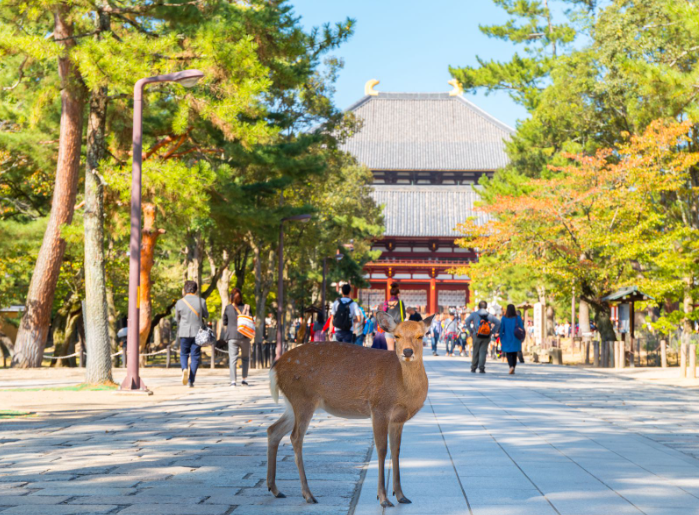 奈良