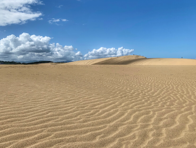 【2025年最新】鳥取県鳥取市エリアでおすすめの整骨院・鍼灸院10選