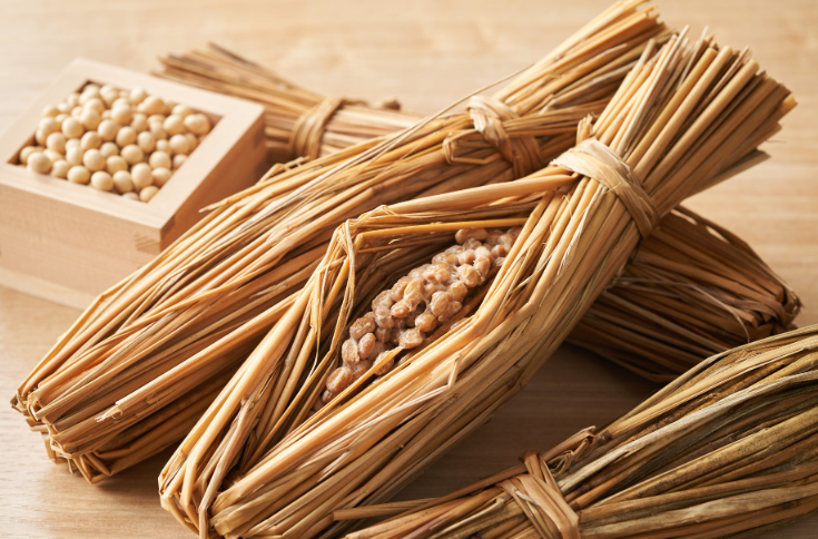 【2025年最新】茨城県水戸市エリアのおすすめ整体・整骨院10選