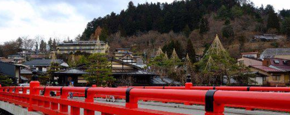 【2025年最新】栃木県小山市エリアのおすすめ整骨院・鍼灸院10選